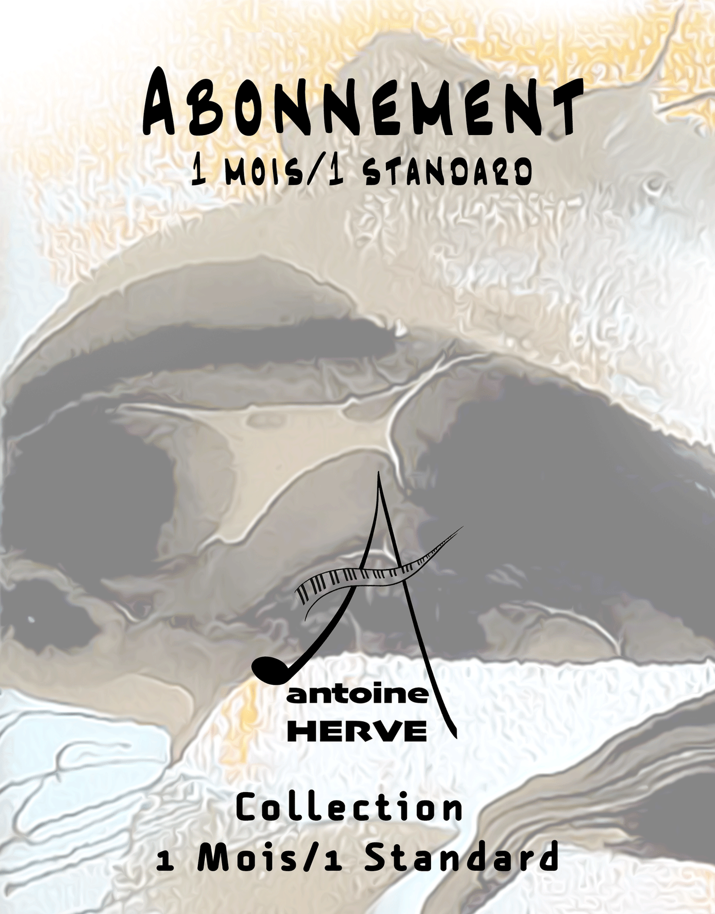 Abonnement 1 mois/1 standard