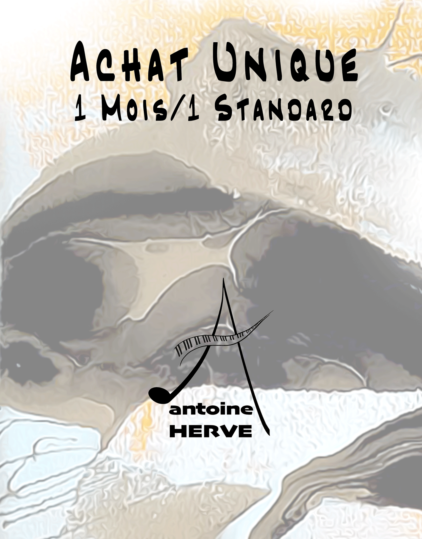 Abonnement "1 mois 1 standard"