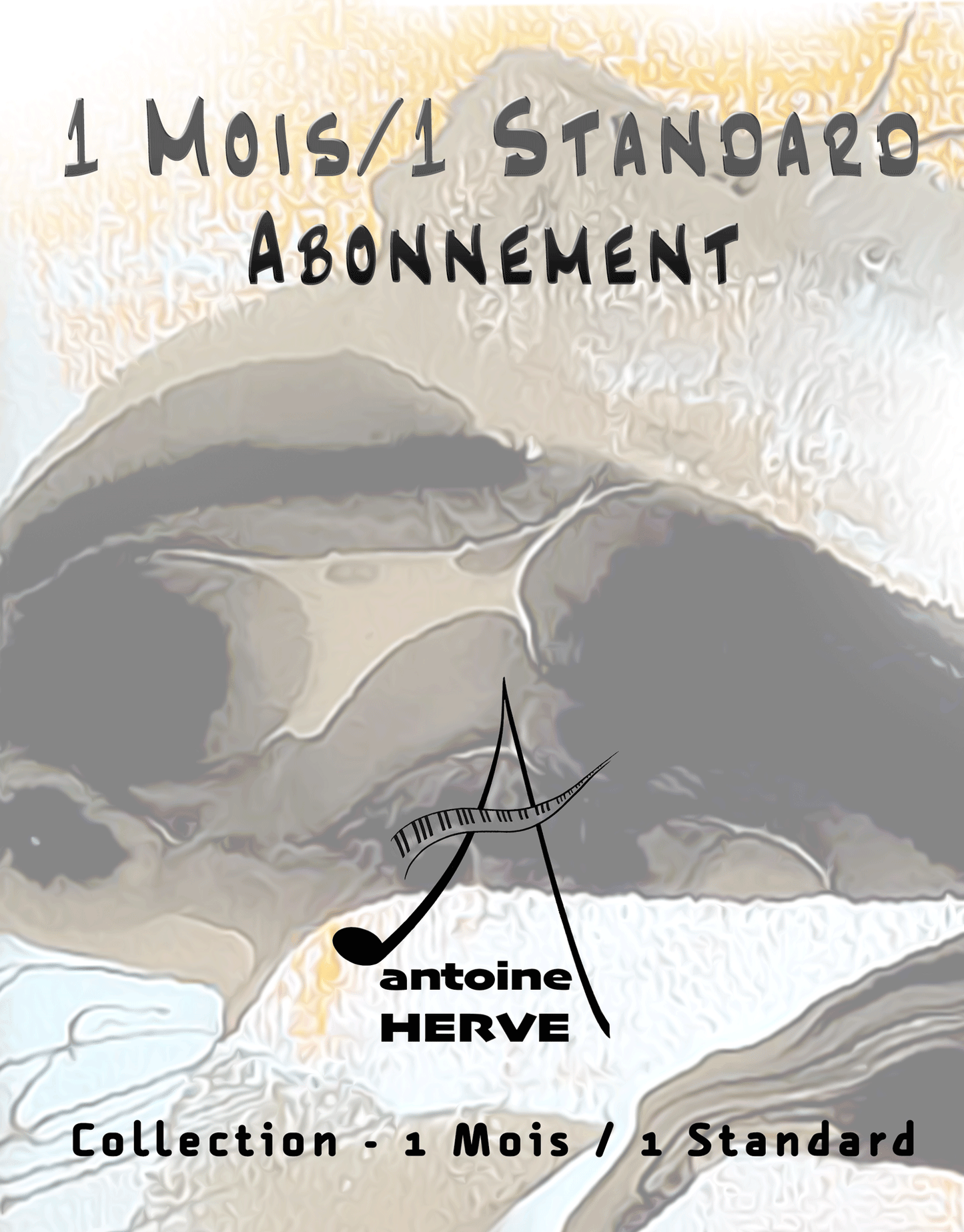 Abonnement "1 mois 1 standard"