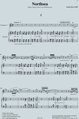 NORTHSEA pour trompette et marimba/piano - concours CNSM Lyon - partition d'Antoine Hervé aux editions Robert Martin